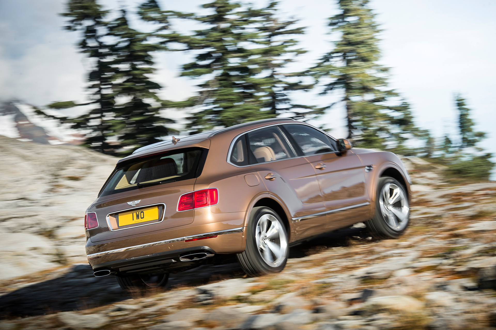 Bentley Bentayga - rear / arrière