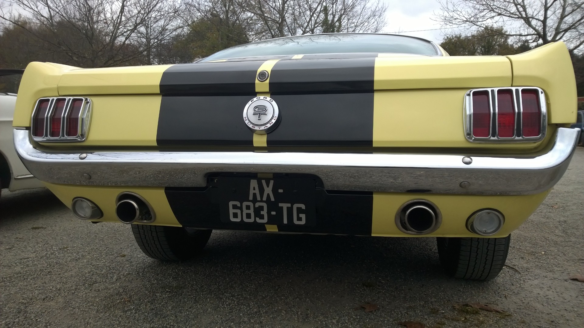 DM - photo - 1960s Mustang - arriere / rear - Ouest Motors Festival 2015 Lorient