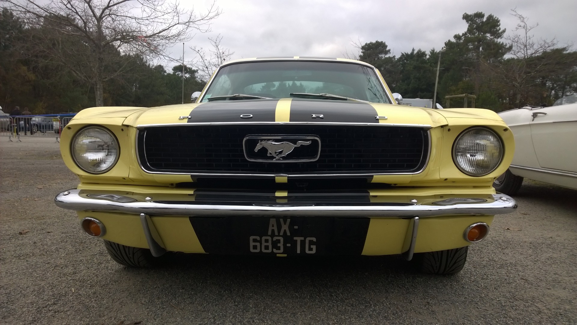 DM - photo - 1960s Mustang - avant / front - Ouest Motors Festival 2015 Lorient