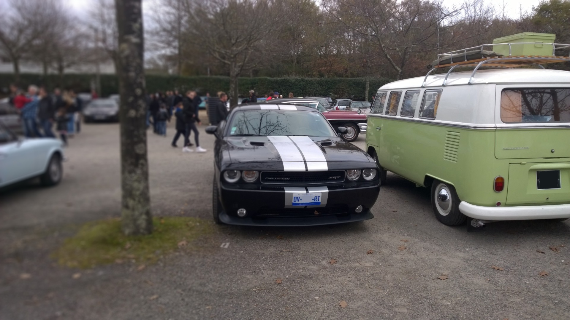 DM photo - Dodge Challenger SRT8 - arrière / rear - Ouest Motors Festival - 2015 - Lorient