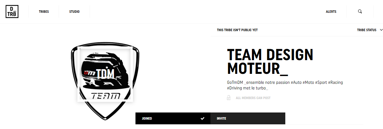 DriveTrive - homepage - Team DESIGNMOTEUR