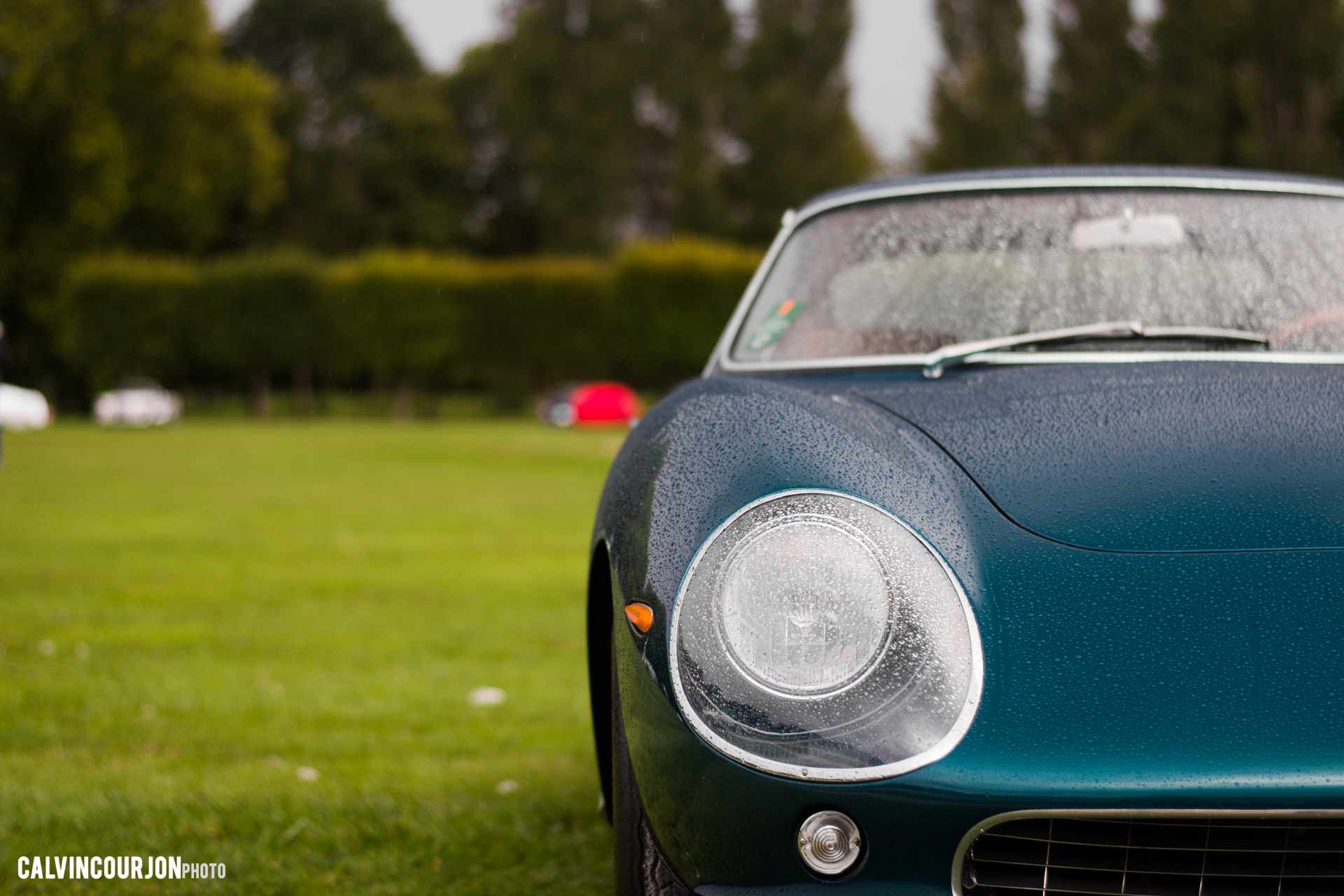 Le regard de Ferrari - Chantilly 2015 – photo Calvin Courjon