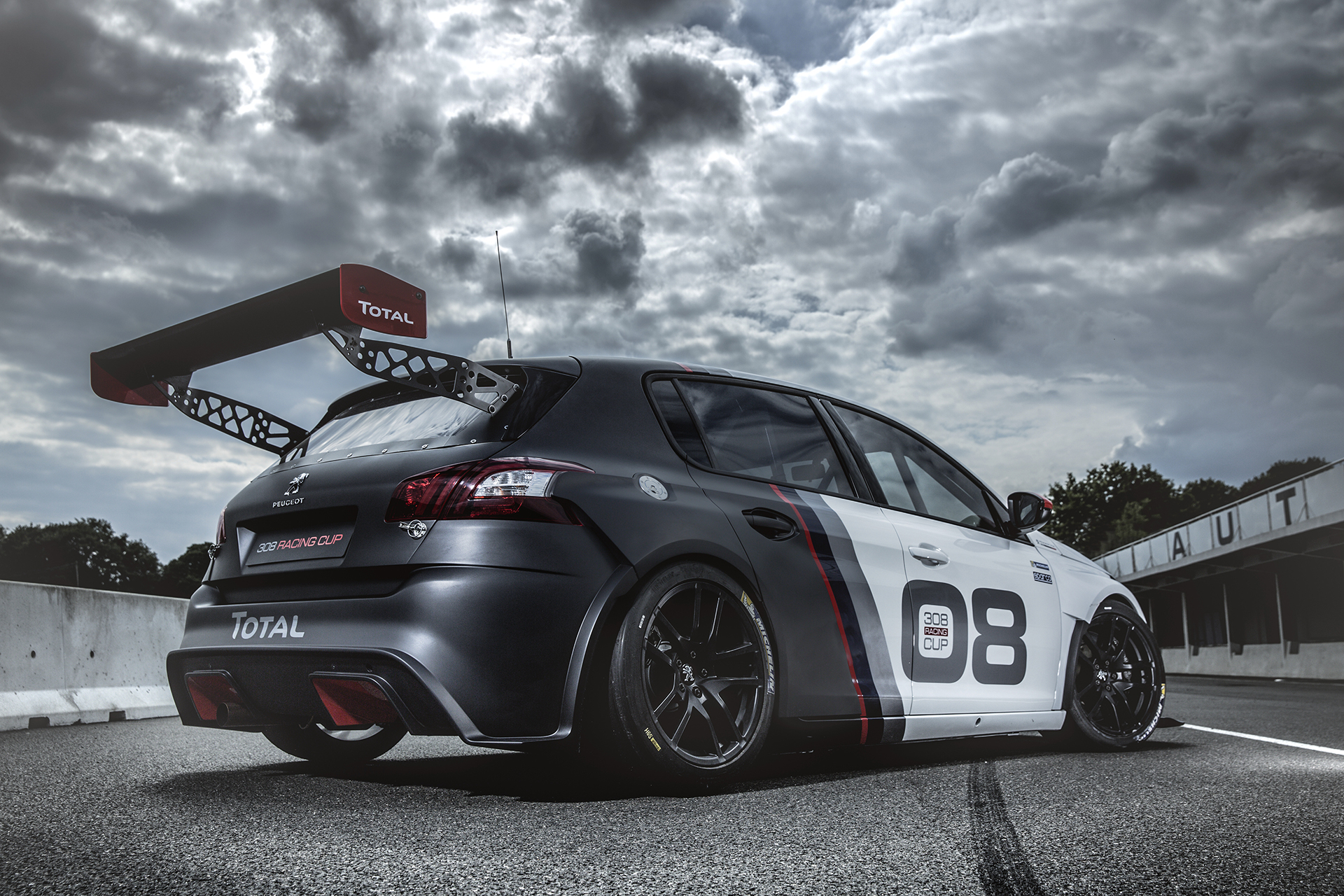 Peugeot 308 Racing Cup - 2015 - profil arrière / rear side-face