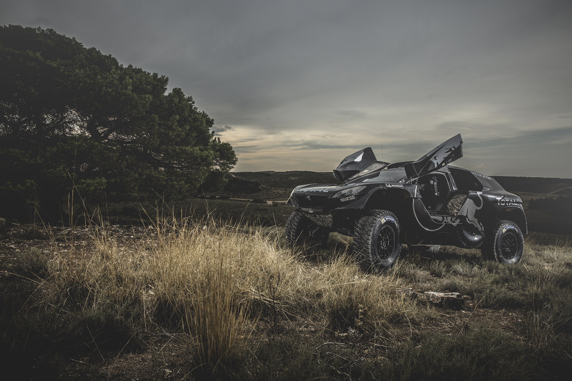 Peugeot 2008 DKR16 - open doors / portes ouvertes