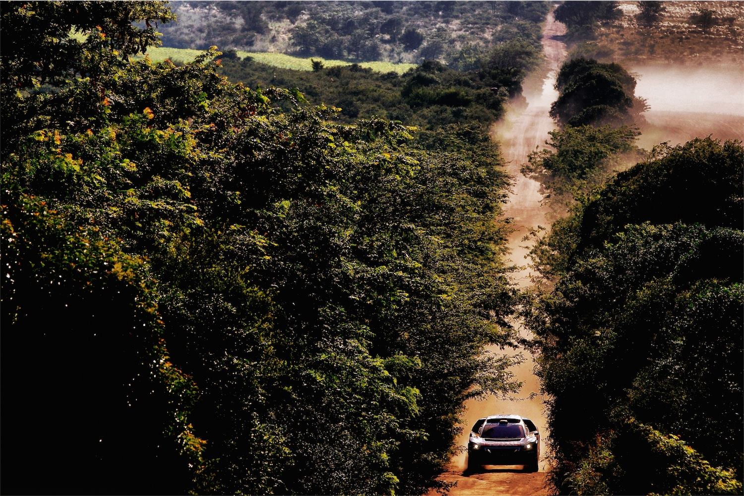 tree trail road - Dakar 2016 - photo by A Lavadinho - A Vialatte